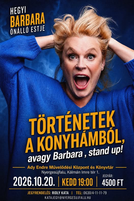 Hegyi Barbara: Történetek a konyhámban avagy Barbara, stand up!