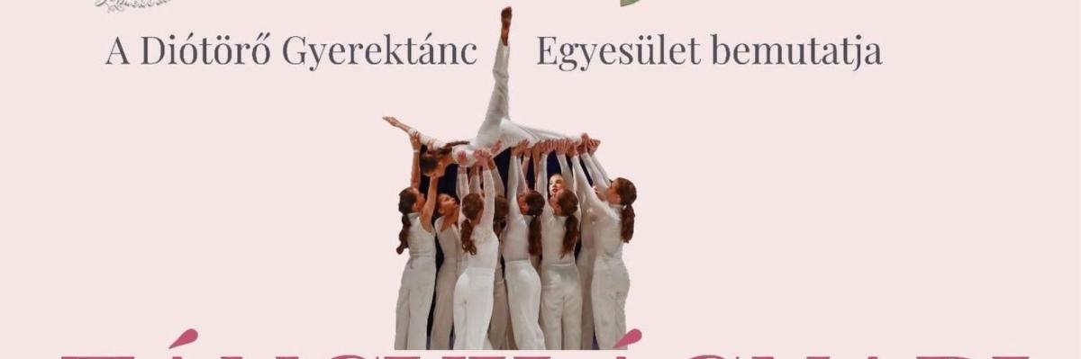 Táncvilágnapi Gála